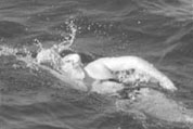 Ella in the Channel